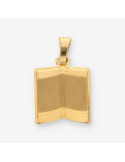Colgante placa pergamino oro