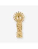 Colgante medalla virgen