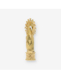 Colgante medalla virgen