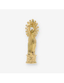 Colgante medalla virgen