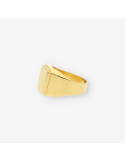 Anillo sello caballero oro