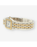 CARTIER Panthere Mixto 4023304874FY