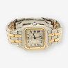 CARTIER Panthere Mixto 8394 0030L43