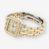 CARTIER Panthere Mixto 8394 0030L43