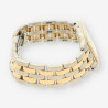 CARTIER Panthere Mixto 8394 0030L43