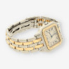 CARTIER Panthere Mixto 8394 0030L43