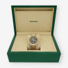 ROLEX Datejust Mixto 41m 126333 9U7J2064