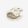 Pendientes oro blanco