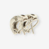 Pendientes oro blanco y bri