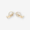 Pendientes oro blanco y bri