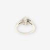 Anillo oro blanco y bri