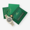 ROLEX Explorer Acero 224270  82E1M009