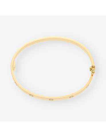Pulsera CARTIER Love FNG839