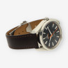 OMEGA Seamaster Aquaterra Co-Axial