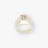 Anillo oro blanco y bri