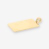 Colgante placa oro