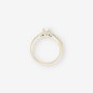 Anillo oro blanco 18kt y brillantes